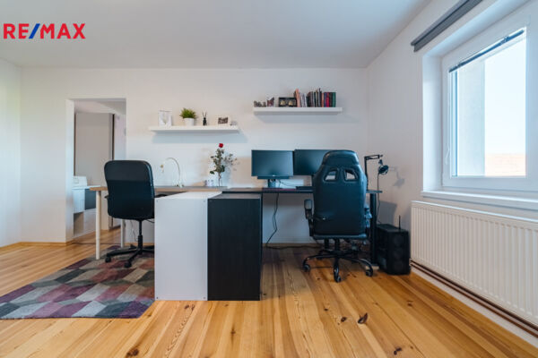 REMAX Delux