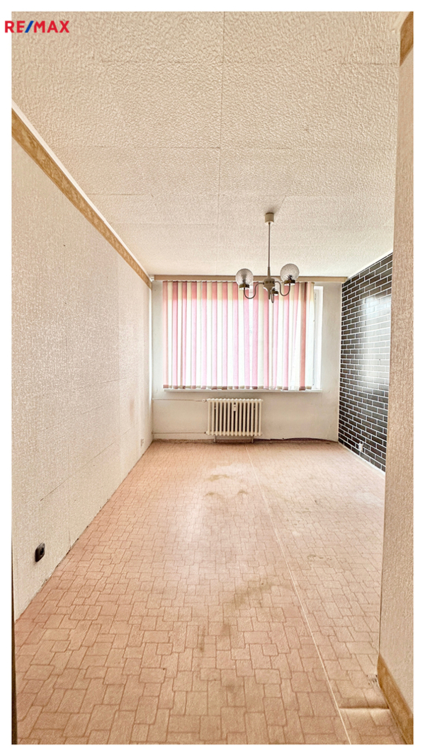 REMAX Delux
