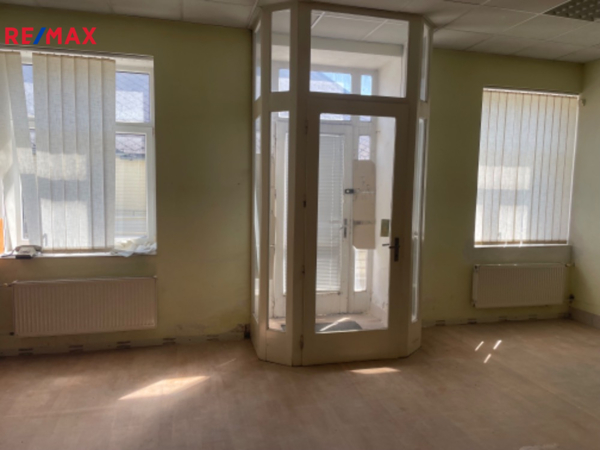 REMAX Delux