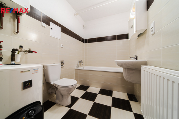 REMAX Delux
