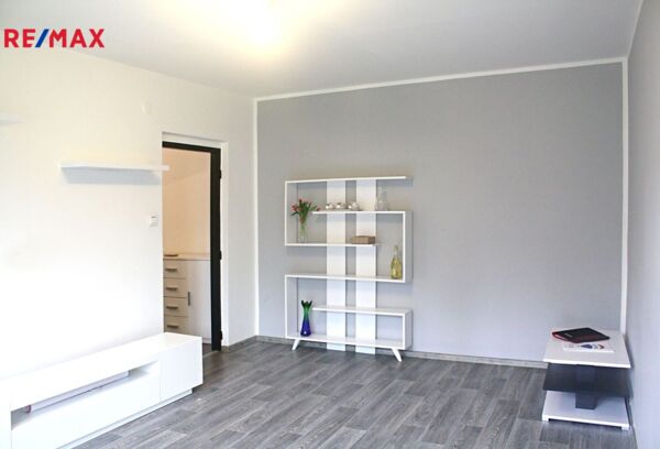 REMAX Delux