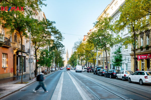 2554435.jpg