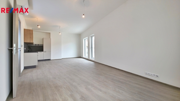 REMAX Delux