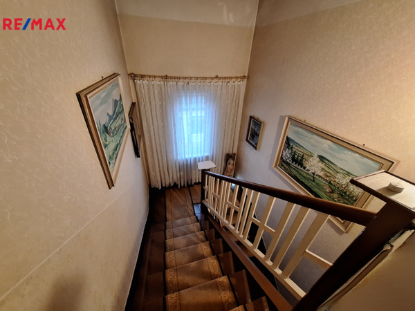 REMAX Delux