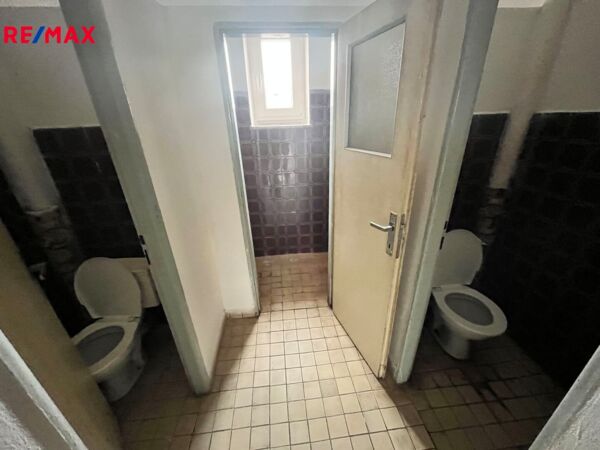 2792505.jpg