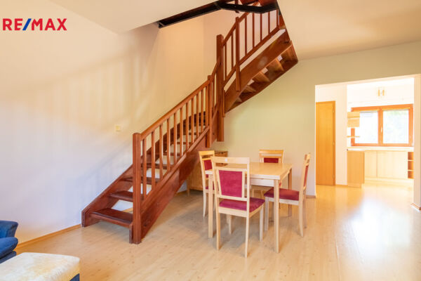 REMAX Delux