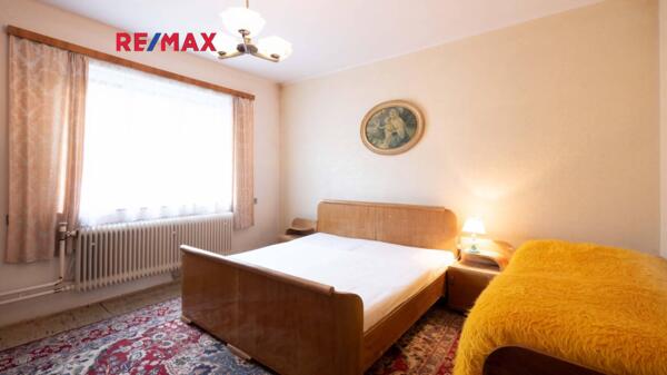 REMAX Delux