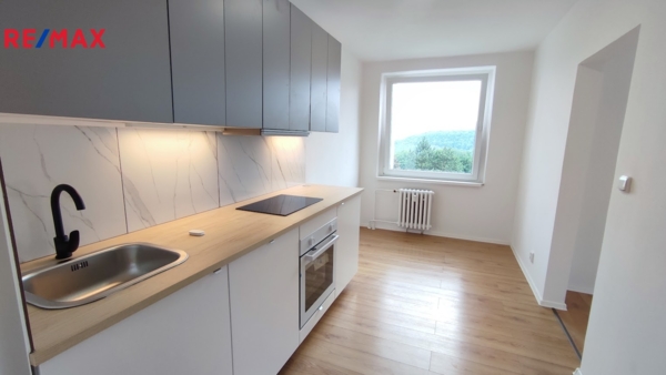 REMAX Brno