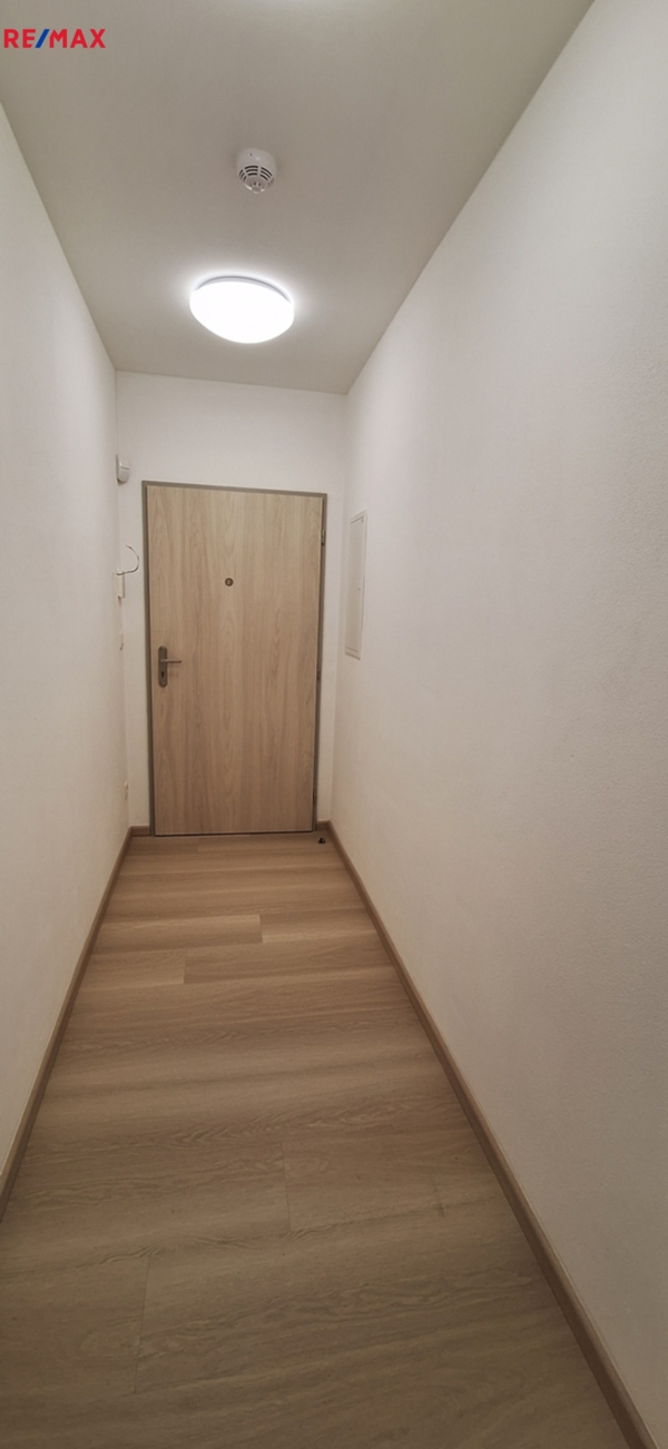2888548.jpg