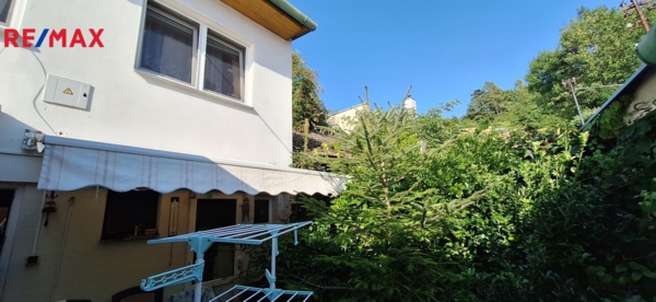 2951811.jpg