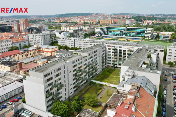 2854857.jpg