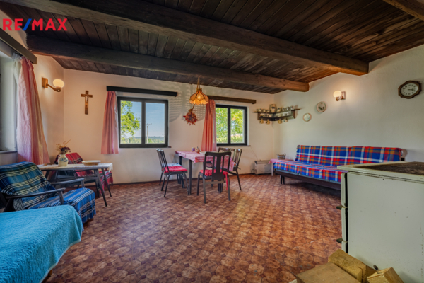 REMAX Delux