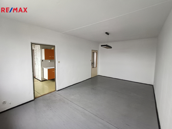 REMAX Delux