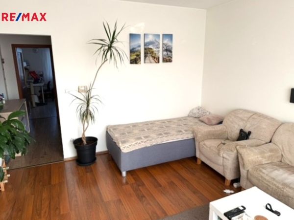 REMAX Brno