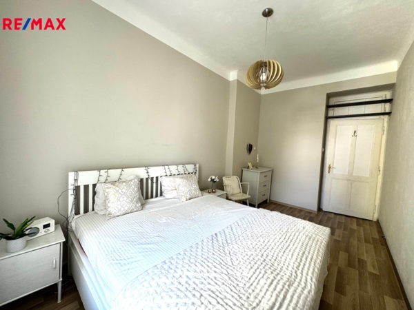REMAX Delux
