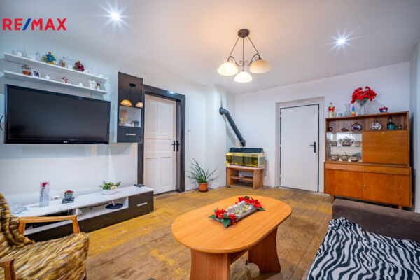 REMAX Delux