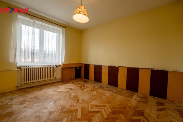 REMAX Delux
