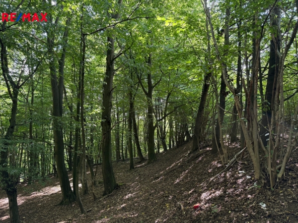 Realitní kancelář Brno