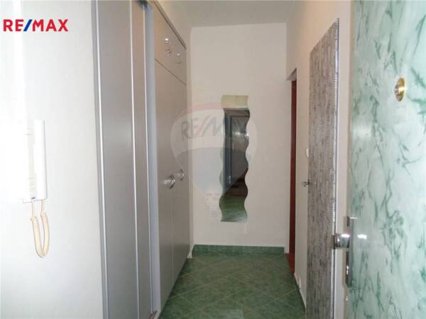 2950248.jpg