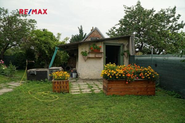 REMAX Delux