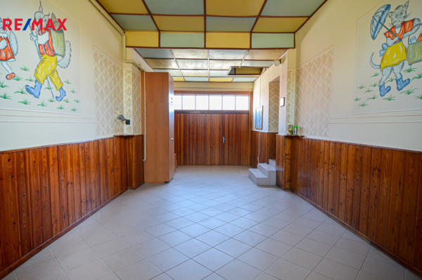 2724451.jpg