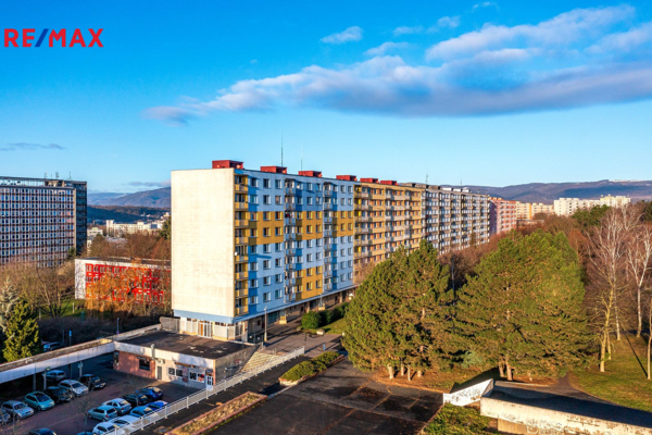 REMAX Delux