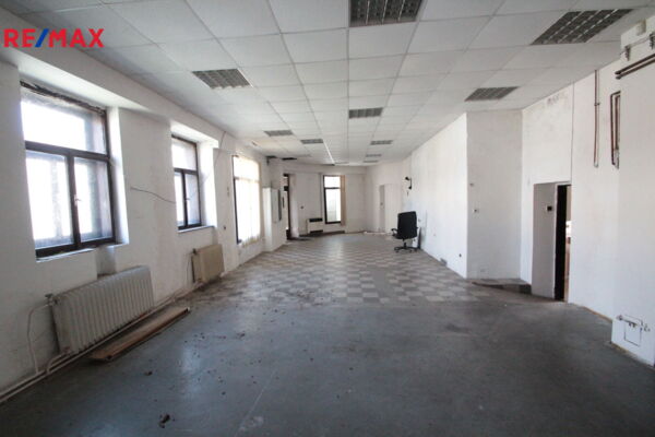 REMAX Brno