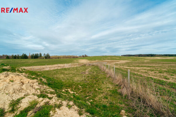 REMAX Brno