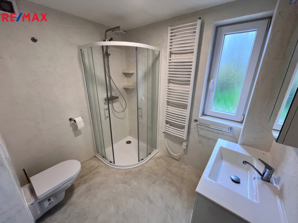 REMAX Delux
