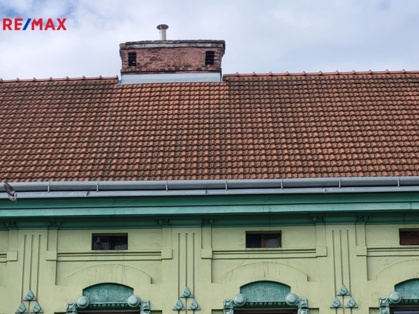 REMAX Delux