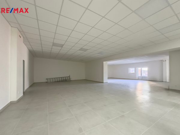 REMAX Brno