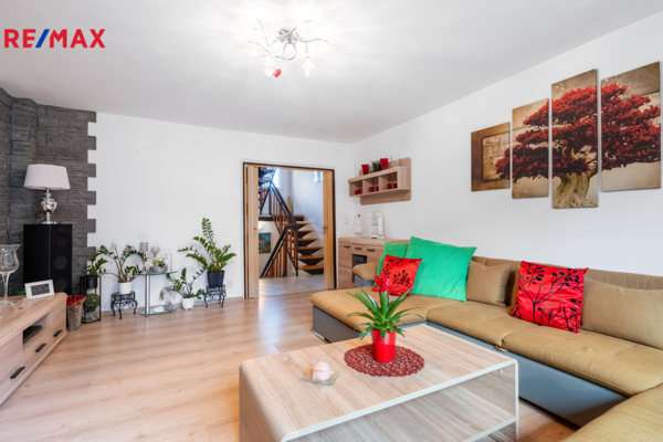 REMAX Delux