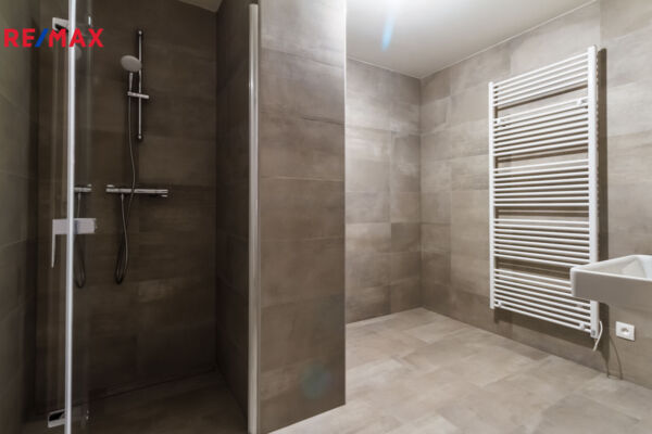 REMAX Delux