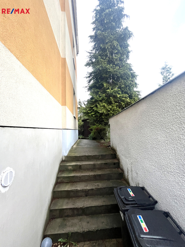 2764491.jpg