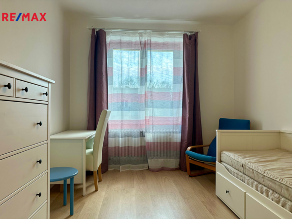 REMAX Delux