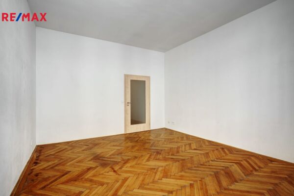 REMAX Delux