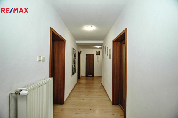 REMAX Delux