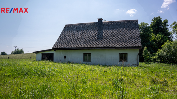 REMAX Delux