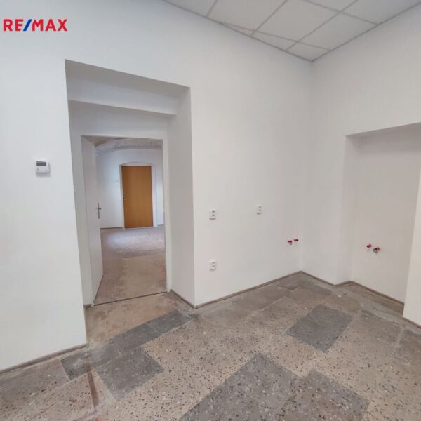 REMAX Delux