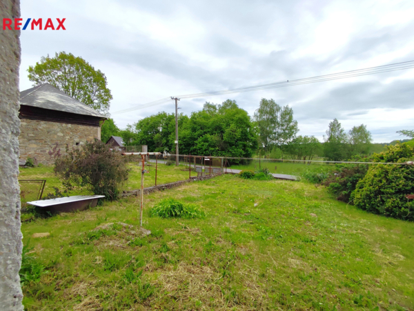 REMAX Delux
