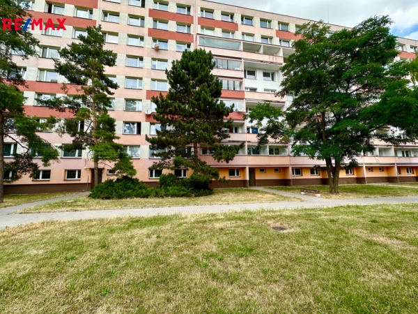 2900351.jpg