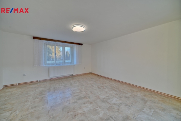 REMAX Delux