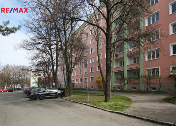 2762010.jpg