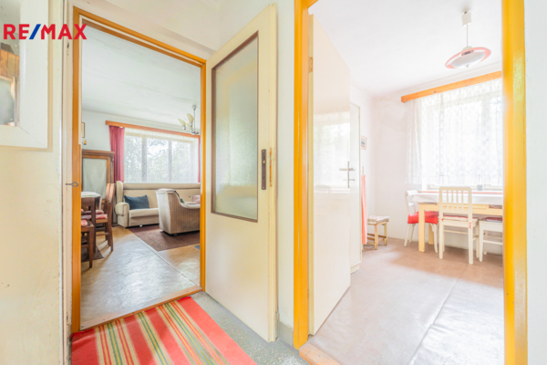 REMAX Delux