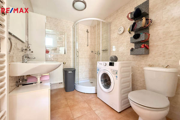 REMAX Delux