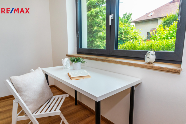 REMAX Delux