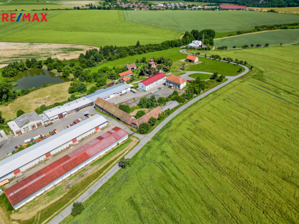 REMAX Delux