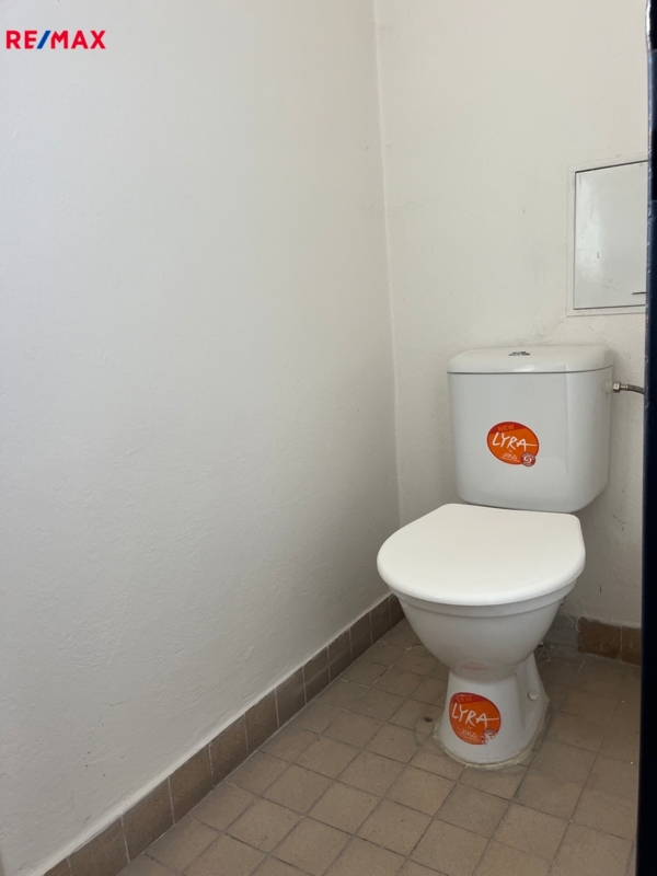 2946822.jpeg