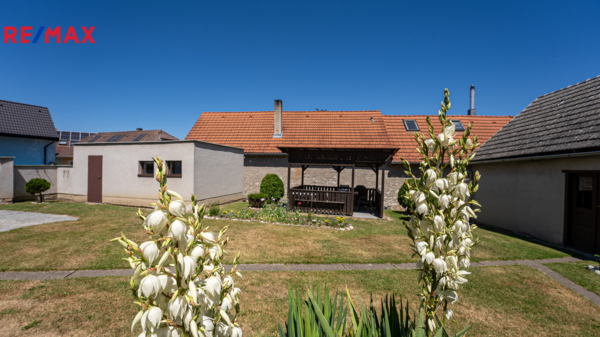 REMAX Brno