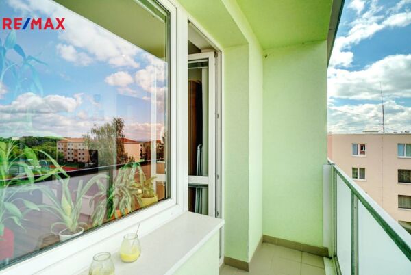 REMAX Delux